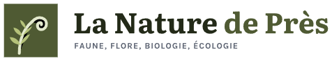 La Nature de Près